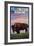 Yellowstone National Park - Bison and Sunset-Lantern Press-Framed Art Print