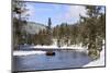 Yellowstone National Park, bison crossing river in winter-George Theodore-Mounted Photographic Print