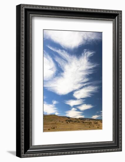 Yellowstone National Park, Lamar Valley. Beautiful clouds dot the sky above the valley.-Ellen Goff-Framed Photographic Print