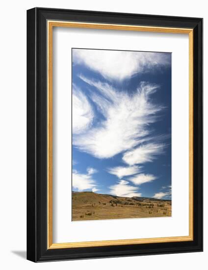 Yellowstone National Park, Lamar Valley. Beautiful clouds dot the sky above the valley.-Ellen Goff-Framed Photographic Print