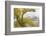 Yellowstone National Park, Lamar Valley-Ken Archer-Framed Photographic Print