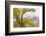 Yellowstone National Park, Lamar Valley-Ken Archer-Framed Photographic Print