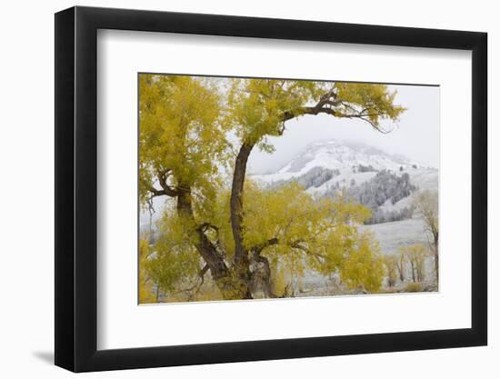 Yellowstone National Park, Lamar Valley-Ken Archer-Framed Photographic Print