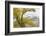 Yellowstone National Park, Lamar Valley-Ken Archer-Framed Photographic Print