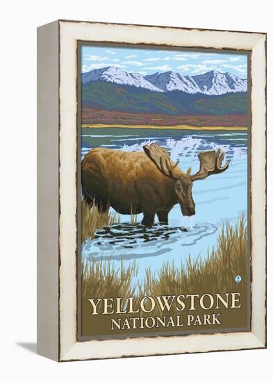 Yellowstone National Park - Moose Drinking in Lake-Lantern Press-Framed Stretched Canvas