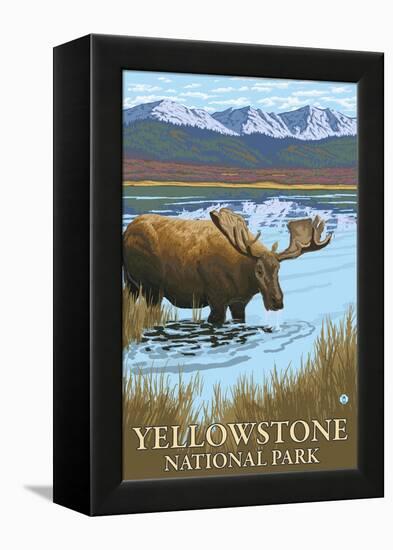 Yellowstone National Park - Moose Drinking in Lake-Lantern Press-Framed Stretched Canvas