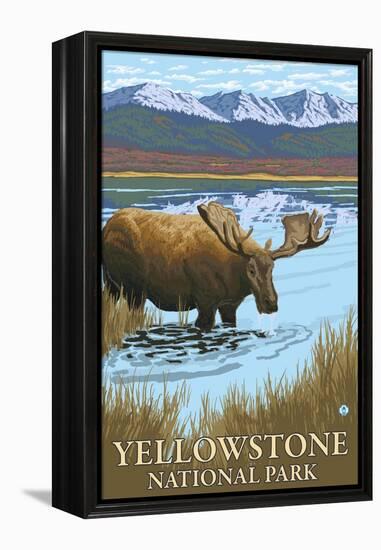 Yellowstone National Park - Moose Drinking in Lake-Lantern Press-Framed Stretched Canvas