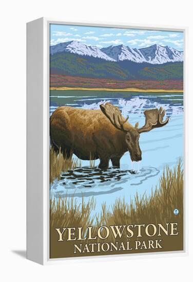 Yellowstone National Park - Moose Drinking in Lake-Lantern Press-Framed Stretched Canvas