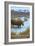 Yellowstone National Park - Moose Drinking in Lake-Lantern Press-Framed Art Print