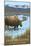 Yellowstone National Park - Moose Drinking in Lake-Lantern Press-Mounted Art Print