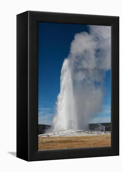 Yellowstone National Park, USA, Old Faithful.-Jolly Sienda-Framed Premier Image Canvas