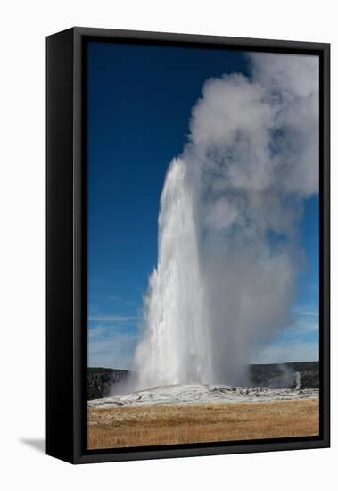 Yellowstone National Park, USA, Old Faithful.-Jolly Sienda-Framed Premier Image Canvas