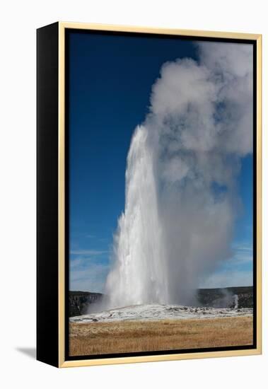 Yellowstone National Park, USA, Old Faithful.-Jolly Sienda-Framed Premier Image Canvas