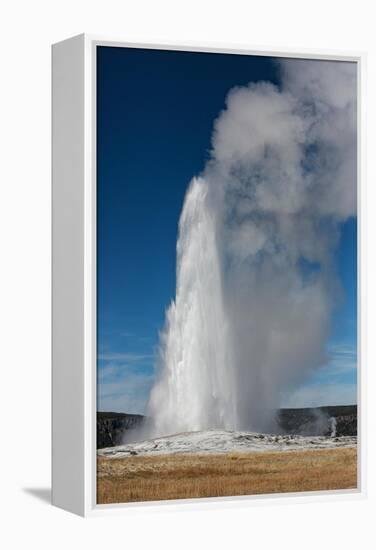 Yellowstone National Park, USA, Old Faithful.-Jolly Sienda-Framed Premier Image Canvas