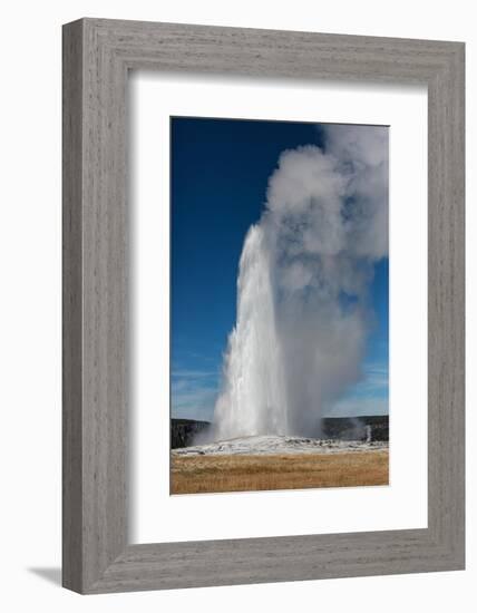 Yellowstone National Park, USA, Old Faithful.-Jolly Sienda-Framed Photographic Print