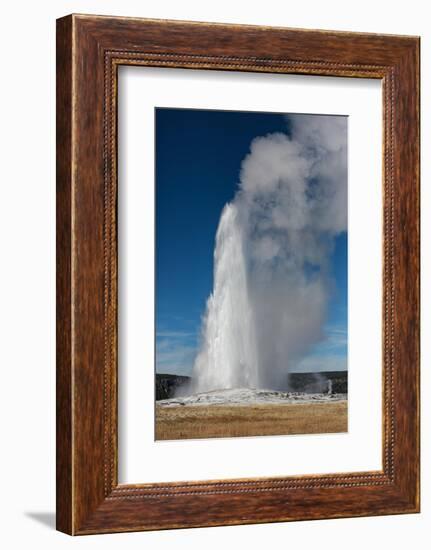 Yellowstone National Park, USA, Old Faithful.-Jolly Sienda-Framed Photographic Print