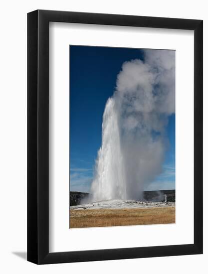 Yellowstone National Park, USA, Old Faithful.-Jolly Sienda-Framed Photographic Print