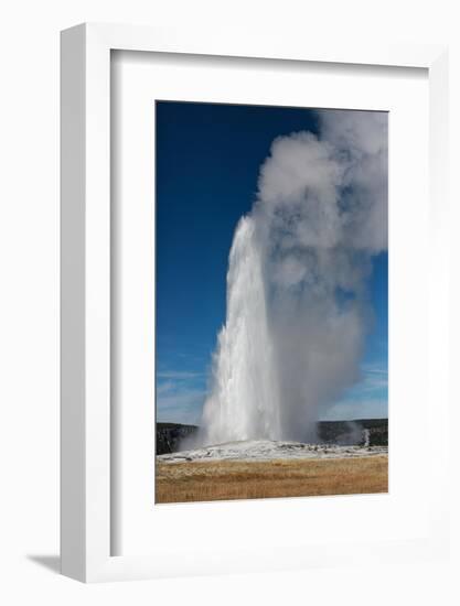 Yellowstone National Park, USA, Old Faithful.-Jolly Sienda-Framed Photographic Print