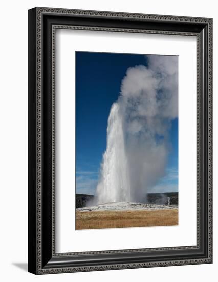 Yellowstone National Park, USA, Old Faithful.-Jolly Sienda-Framed Photographic Print