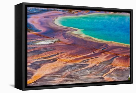 Yellowstone National Park, USA, Wyoming. Grand Prismatic Spring, Midway Geyser Basin.-Jolly Sienda-Framed Premier Image Canvas