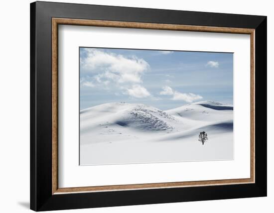 Yellowstone National Park, Winter-Ken Archer-Framed Photographic Print