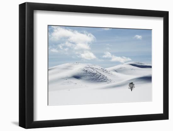 Yellowstone National Park, Winter-Ken Archer-Framed Photographic Print