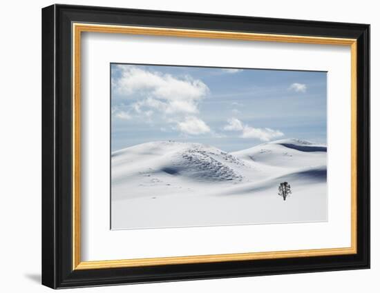 Yellowstone National Park, Winter-Ken Archer-Framed Photographic Print