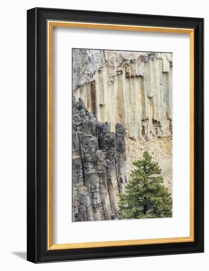 Yellowstone National Park, Wyoming, USA. Rock columns in the canyon north of Tower Fall.-Janet Horton-Framed Photographic Print