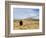 Yellowstone National Park, Wyoming, USA-Rolf Nussbaumer-Framed Photographic Print