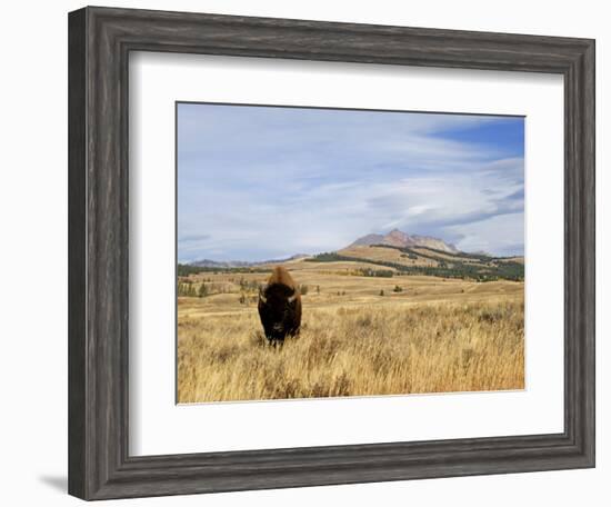 Yellowstone National Park, Wyoming, USA-Rolf Nussbaumer-Framed Photographic Print