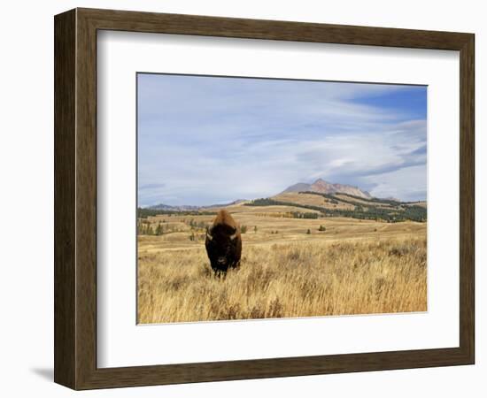 Yellowstone National Park, Wyoming, USA-Rolf Nussbaumer-Framed Photographic Print