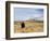 Yellowstone National Park, Wyoming, USA-Rolf Nussbaumer-Framed Photographic Print