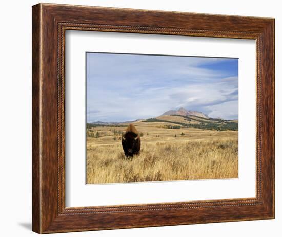 Yellowstone National Park, Wyoming, USA-Rolf Nussbaumer-Framed Photographic Print