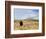 Yellowstone National Park, Wyoming, USA-Rolf Nussbaumer-Framed Photographic Print