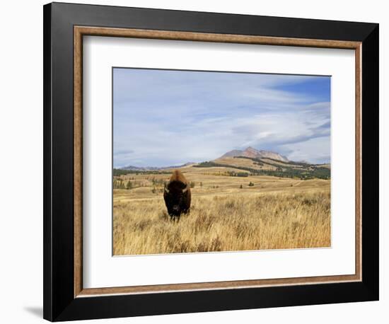 Yellowstone National Park, Wyoming, USA-Rolf Nussbaumer-Framed Photographic Print