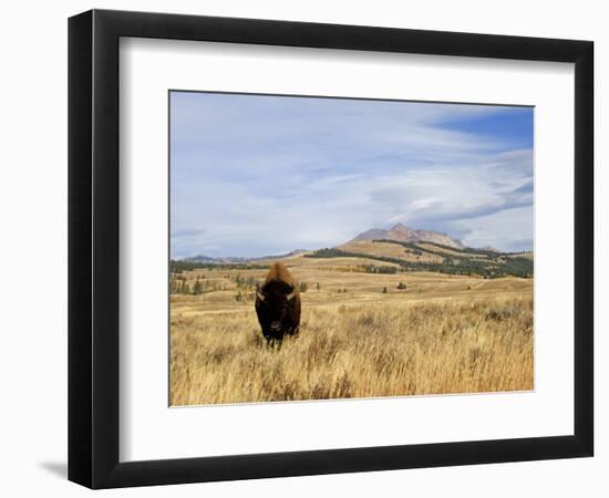 Yellowstone National Park, Wyoming, USA-Rolf Nussbaumer-Framed Photographic Print