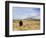 Yellowstone National Park, Wyoming, USA-Rolf Nussbaumer-Framed Photographic Print