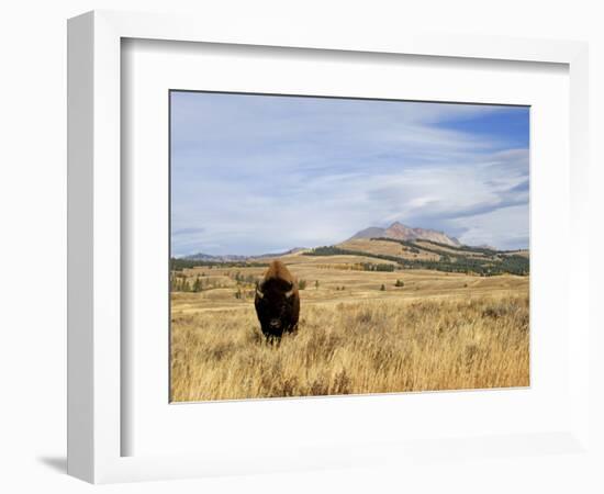 Yellowstone National Park, Wyoming, USA-Rolf Nussbaumer-Framed Photographic Print
