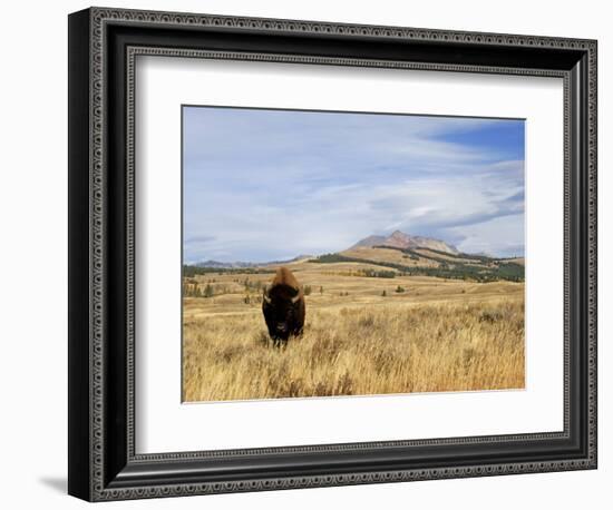 Yellowstone National Park, Wyoming, USA-Rolf Nussbaumer-Framed Photographic Print