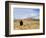 Yellowstone National Park, Wyoming, USA-Rolf Nussbaumer-Framed Photographic Print