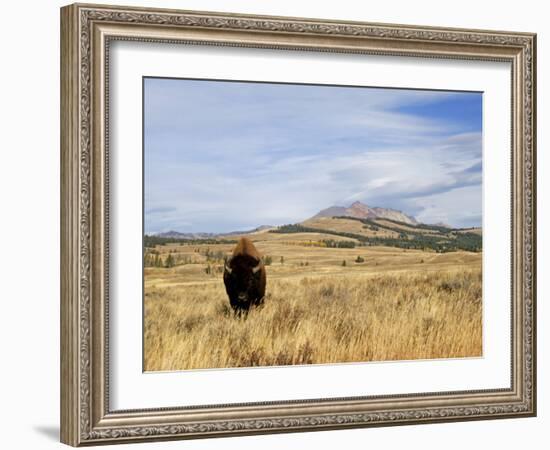 Yellowstone National Park, Wyoming, USA-Rolf Nussbaumer-Framed Photographic Print