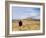 Yellowstone National Park, Wyoming, USA-Rolf Nussbaumer-Framed Photographic Print