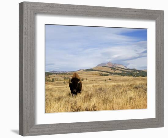 Yellowstone National Park, Wyoming, USA-Rolf Nussbaumer-Framed Photographic Print