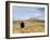 Yellowstone National Park, Wyoming, USA-Rolf Nussbaumer-Framed Photographic Print