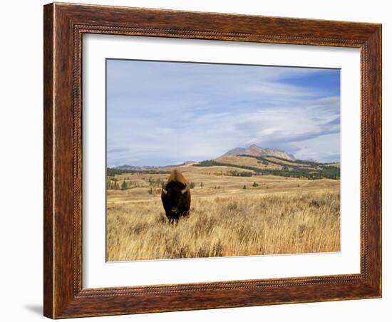 Yellowstone National Park, Wyoming, USA-Rolf Nussbaumer-Framed Photographic Print