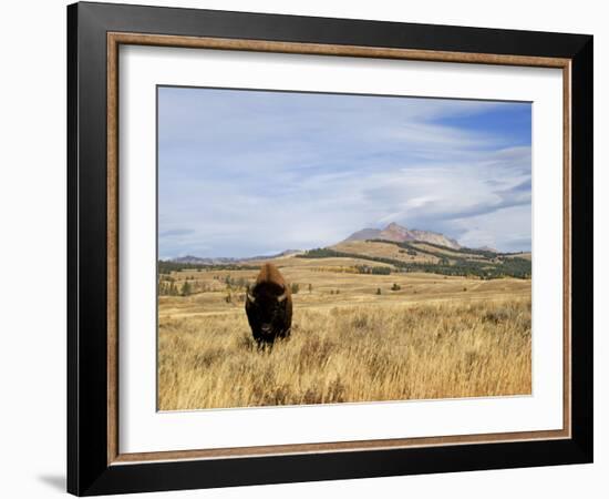 Yellowstone National Park, Wyoming, USA-Rolf Nussbaumer-Framed Photographic Print