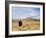 Yellowstone National Park, Wyoming, USA-Rolf Nussbaumer-Framed Photographic Print