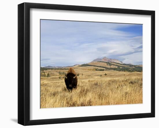 Yellowstone National Park, Wyoming, USA-Rolf Nussbaumer-Framed Photographic Print