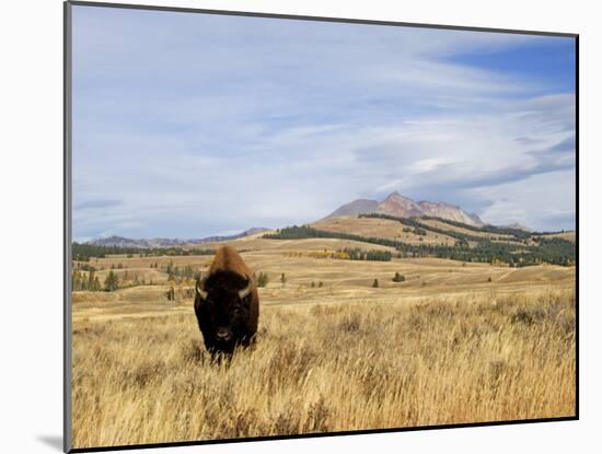 Yellowstone National Park, Wyoming, USA-Rolf Nussbaumer-Mounted Photographic Print