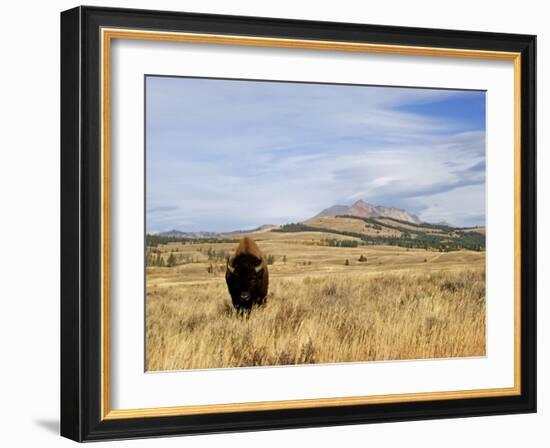 Yellowstone National Park, Wyoming, USA-Rolf Nussbaumer-Framed Photographic Print